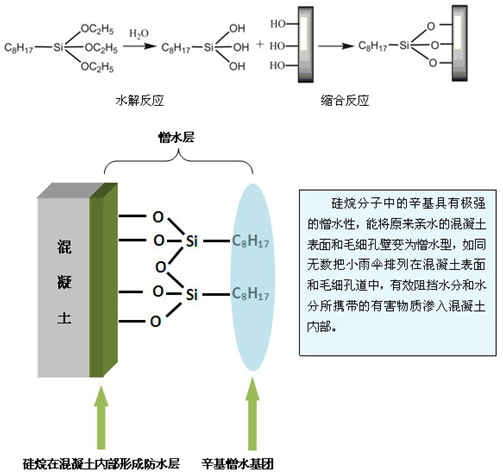 Hydrophobic treatment